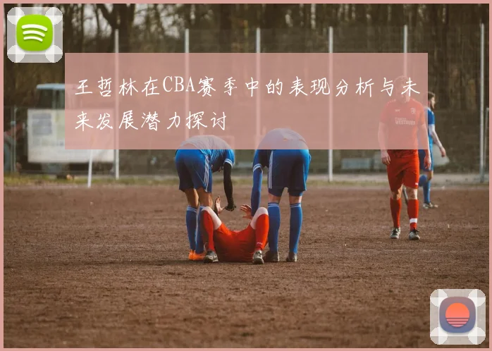王哲林在CBA赛季中的表现分析与未来发展潜力探讨