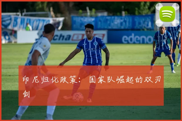 印尼归化政策：国家队崛起的双刃剑