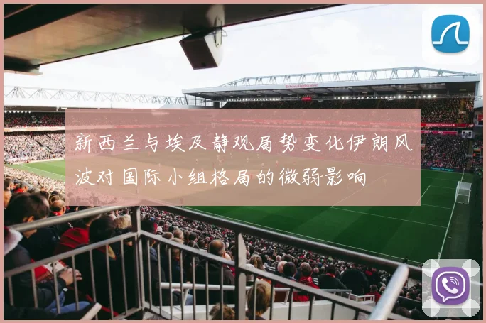 新西兰与埃及静观局势变化伊朗风波对国际小组格局的微弱影响